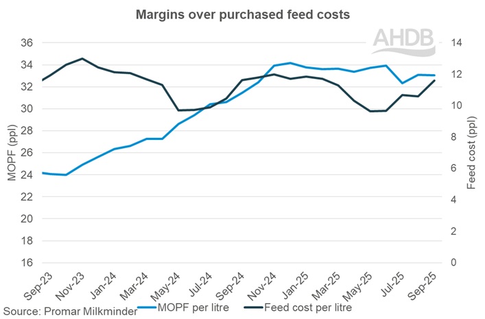 2025_9_3_Margins over purchased feed costs graph.